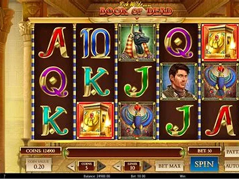 Book of Dead slot at Chanced Casino